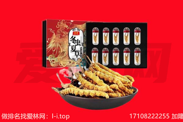 宜州区回收虫草.jpg